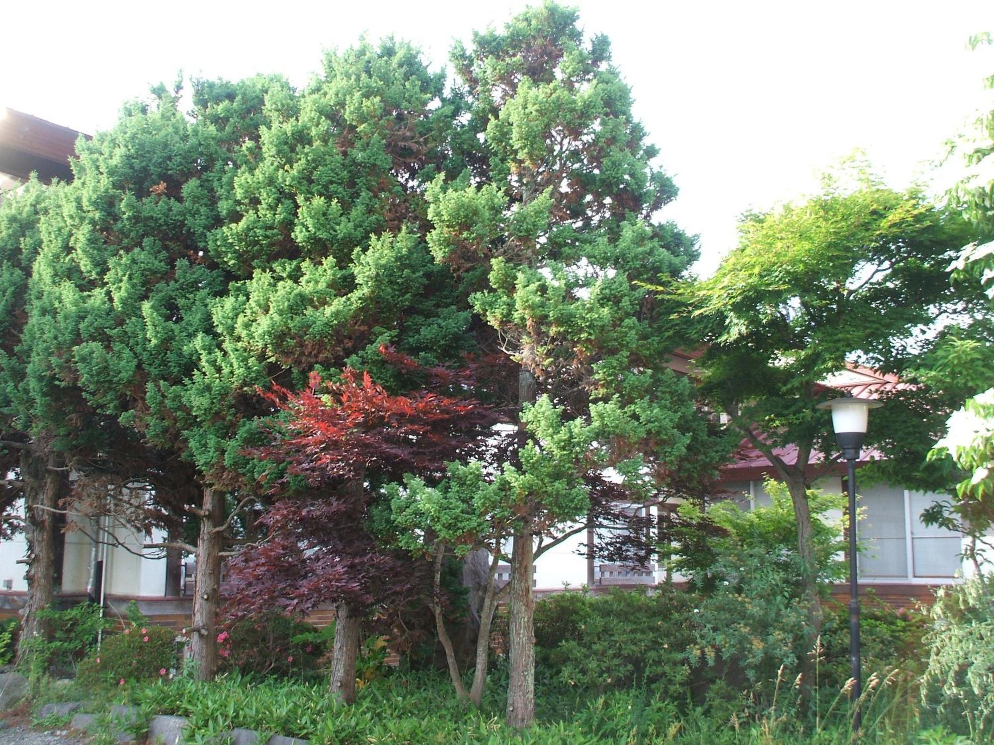 ホテル 別館　ふじや旅館 上山市 エクステリア 写真